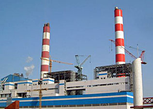 Penguard Universal  - 全年