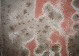 耐磨环氧货舱涂料(Jotaguard 630)的特点